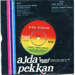 Ajda Pekkan – Dert Bende / Varsın Yansın Dünya (45 RPM) 1972 Türkiye