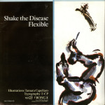 Depeche Mode – Shake The Disease (7", 45 RPM) 1985 Scandinavia