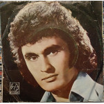 Hayri Şahin – Yalvarırım Dön Artık / Seni Sevdim Diyemi! (7", 45 RPM) Dönem Türkiye