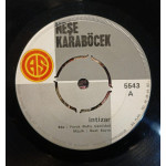 Neşe Karaböcek – İntizar / Karlı Bir Kış Günü (7", 45 RPM) 1973 Türkiye