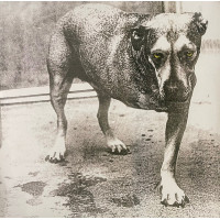Alice In Chains – Alice In Chains (2 LP) 2026 Europe (Coloured Vinyl) 