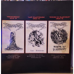 Dismember – The Complete Demos (1988-1990) (LP) Gray Marbled