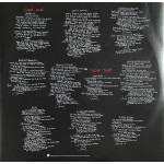 Pantera – Reinventing The Steel (LP)