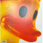 Nirvana – Incesticide [ 2 x LP, Compilation ] 2017 Europe