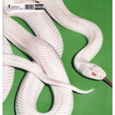 Deftones – Private Music [ LP, Album ] 2025 Europe, SIFIR