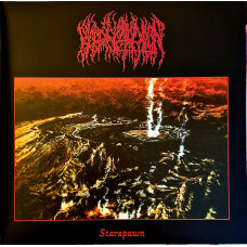 Blood Incantation – Starspawn [ LP, Album ] 2024 Germany
