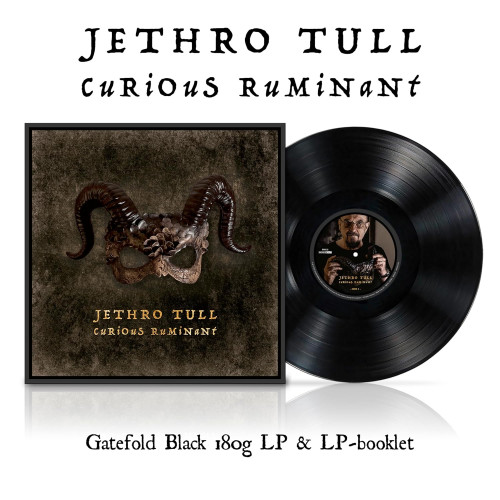 Jethro Tull – Curious Ruminant [ LP, Album ] 2025 Worldwide, SIFIR