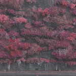 Sleep Token – Even In Arcadia [ 2 x LP, Album ] 2025 UK & Europe, SIFIR