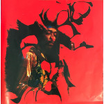 Jimi Hendrix Experience – Starportrait Jimi Hendrix (2 LP) 1970 Germany