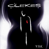 Çilekeş: Y.O.K. - Plak [ 2026 | TR ] 