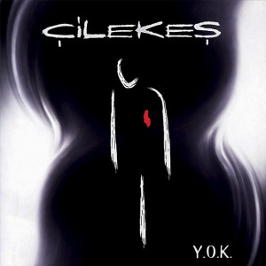 Çilekeş: Y.O.K. - Plak [ 2026 | TR ] 