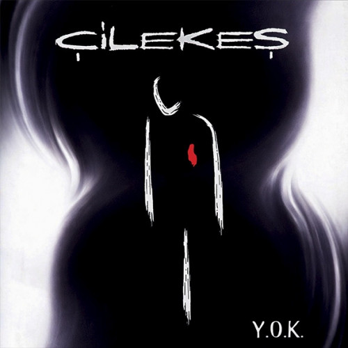 Çilekeş: Y.O.K. - Plak [ 2026 | TR ] 