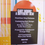 Gary Moore – A Different Beat (Plak) Coloured 