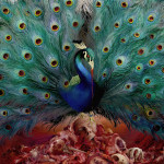 Opeth – Sorceress [ 2 x CD, Album ] 2016 Europe