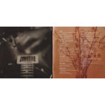 Tracy Chapman – Where You Live (CD) 2005 Europe