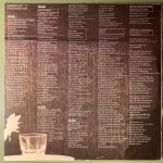 Al Di Meola – Splendido Hotel (2 LP) 1980 Europe