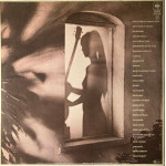 Al Di Meola – Splendido Hotel (2 LP) 1980 Europe