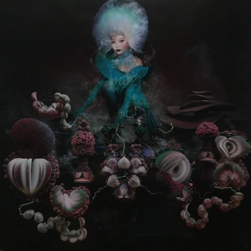 Björk – Fossora