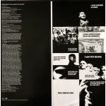 Rage Against The Machine - Renegades (LP)