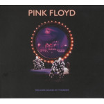 Pink Floyd – Delicate Sound Of Thunder (2 x CD) 2020 Avrupa Baskı