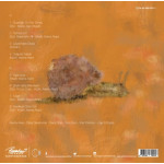 Asena Akan Contempo – Aşık  [ LP, Album ] 2024 TR