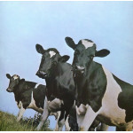 Pink Floyd – Atom Heart Mother (LP) 1974 Germany