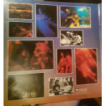 Rush - All The World's A Stage (2 LP) 1976 UK