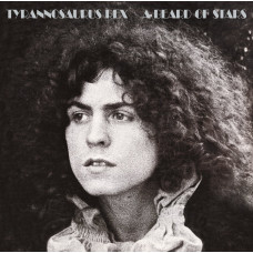 Tyrannosaurus Rex ‎– A Beard Of Stars (Sıfır Plak) 2014 Avrupa Baskı