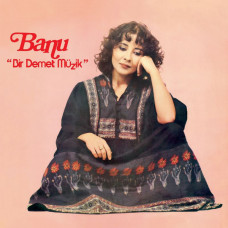 Banu – Bir Demet Müzik (Sıfır Plak) 2023