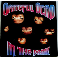 Grateful Dead – In The Dark (Plak) 1987 Avrupa baskı